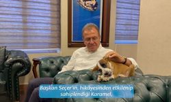 Depremzede köpeğin yavrusu belediyenin maskotu oldu