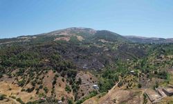 Kahramanmaraş`ta yanan 15 hektar alan dron ile görüntülendi