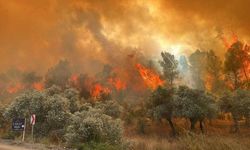 Antalya ve Muğla'da orman yangını