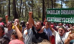 308 kurumdan Akbelen için ortak açıklama: Abluka kaldırılsın, kesim kararı durdurulsun