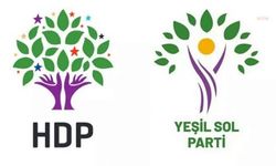  Yeşil Sol Parti ve HDP seçim sonuçlarının değerlendirdi