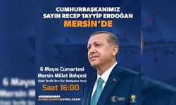 Erdoğan'ın afişine bıyık yapan 16 yaşındaki çocuk tutuklandı