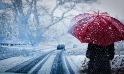 Türkiye'ye 'El Nino kışı' geliyor: Tarih verildi, kar ne zaman yağar?