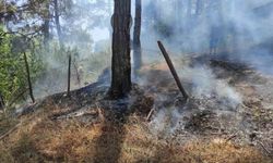 Adana Kozan`da orman yangını, ekipler kontrol altına aldı
