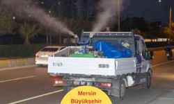 Mersin Büyükşehir Belediyesi ekiplerinin yoğun ilaçlama mesaisi