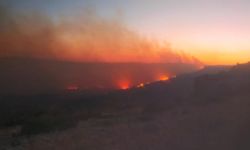Mersin'de orman yangını devam ediyor, iki köyün tedbir amaçlı tahliyesi planlanıyor