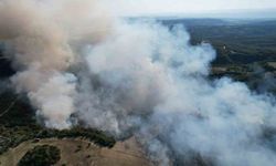 Ormanlık alandaki yangına havadan ve karadan müdahale sürüyor