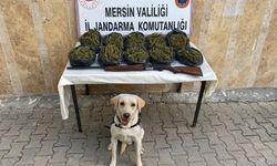 Mersin`de operasyon: 24 kilo skunk ele geçirildi