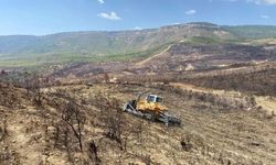 Gülnar'da yanan ormanlık alanlarda ağaçlandırma çalışmalarına başlandı
