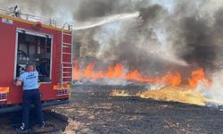 Siirt'te 130 dekar tarım arazisi küle döndü