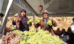 Mersin`de Üzüm Şenliği coşkusu