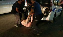 Alanya'da uyuşturucu krizine giren Rus turist, polislere ecel teri döktürdü