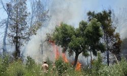 Manavgat'ta 2 dönüm kızılçam ormanı yandı