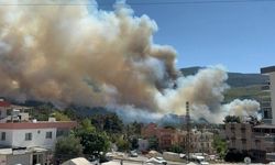 Hatay'daki orman yangını kontrol altına alındı