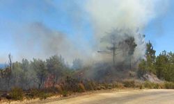 Hatay`da orman yangını, hava ve karadan müdahale ile kontrol altına aldı