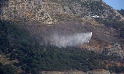 Hatay`da evlere yakın noktadaki orman yangını kısa sürede kontrol altına alındı