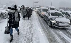 Leylekler Tam 15 Gün Erken Göç etti, Tarihi Bir Kış Görebiliriz! 