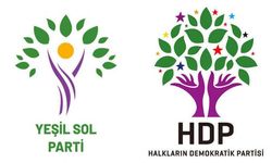 HDP ve YSP toplandı