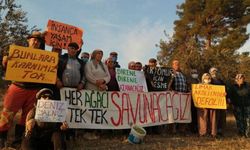 Şirketler istediği yeri talan edebilir