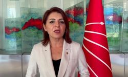 Gülcan Kış,  Bakan Tekin'e okul binalarının güçlendirilmesini sordu