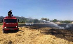 Burdur`da anız yangını