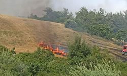 Adana'da anız yangını ağaçlara sıçradı