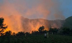 Mersin`de orman yangını havadan ve karadan müdahale ile kontrol altına alındı