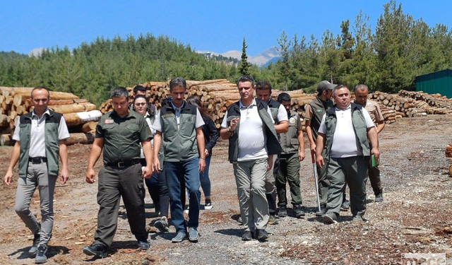 Rifat Ataş, Çamlıyayla'da İncelemelerde Bulundu