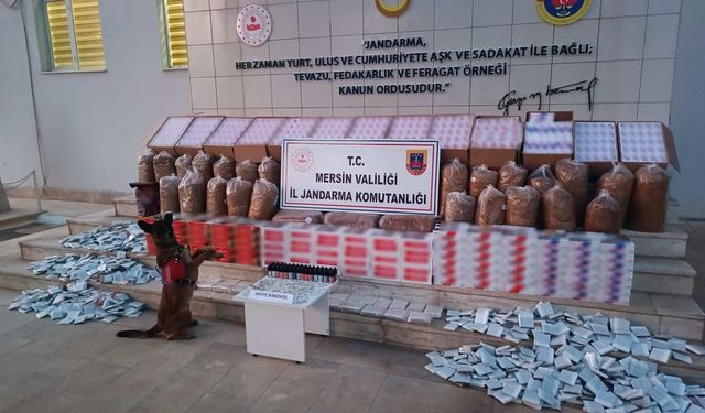 Gülnar’da Kaçak Sigara Operasyonu: 1 Şüpheli Gözaltında