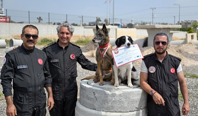 Mersin İtfaiyesinin Kahraman Patileri Ares ve Rex'ten Önemli Başarı