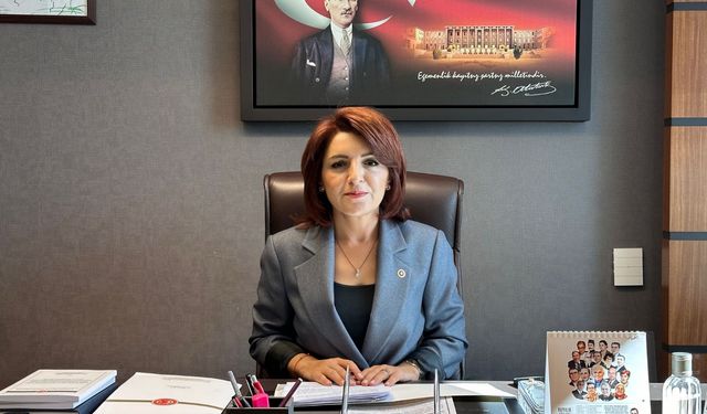 CHP’li Kış: Tekstilde Kriz Derinleşiyor