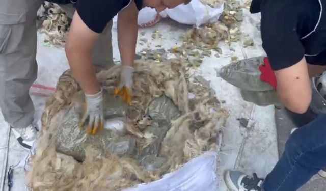 Mersin’de Minibüsle Yün Torbalar İçinde 23 Kilo Skunk Ele Geçirildi: 3 Tutuklama