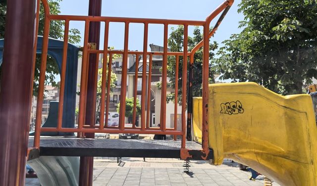 Karne Günü Dehşeti Yaşadı: Parkta Sıkışan Çocuk Korku Dolu Anlar Yaşadı
