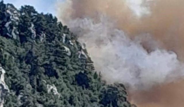 Bozyazı’da Orman Yangını! Ekipler Havadan ve Karadan Müdahale Ediyor