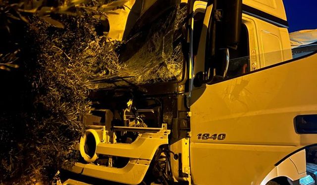 Mersin'de Uyuyan Tır Sürücüsü Dehşeti! Üst Geçide, Ağaca ve Araçlara Çarptı!