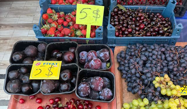Antalya Kemer’de Dolarla Etiket Dönemi