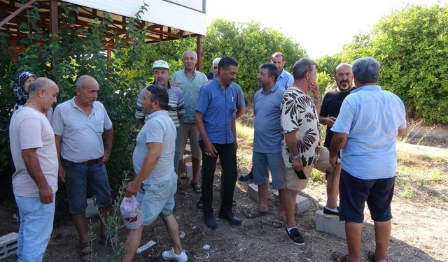 Mersin'de Arazi Dolandırıcılığı İddiası: Köylüler Organize Çetenin Hedefi Oldu
