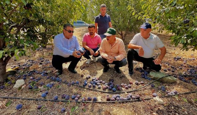 Mersin'de Fırtına Sonrası Tarıma Destek