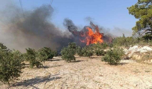 Silifke’yi Alevler Sardı: 3 Mahalle Tahliye Edildi, Ekipler Zamanla Yarışıyor!