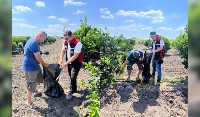 Adana’ya Rekor Sıcaklık Vurdu! Limonlar Yandı, Yeni Tehlike Kapıda