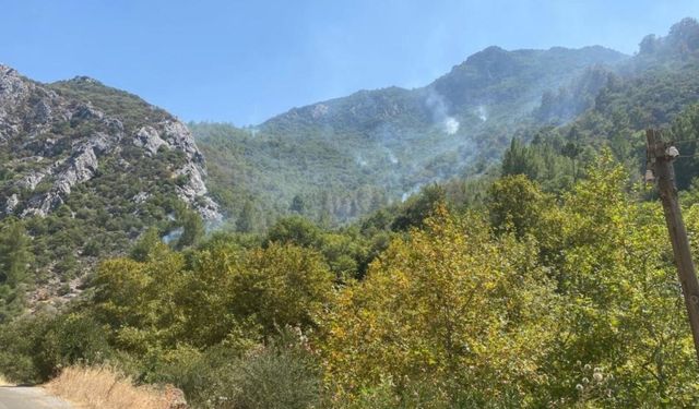 Anamur’da Yangın Paniği: Son Durum Ekiplerden Geliyor!