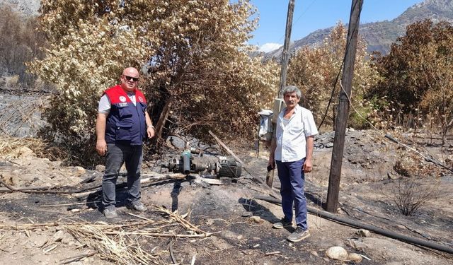 İl Tarım Müdürlüğü’nden Açıklama: Anamur Yangının Boyutu ve Etkilenen Alanlar Açıklandı