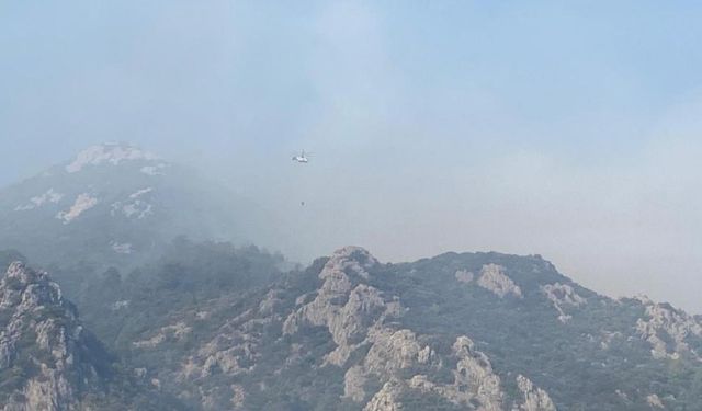 Gündüz ve Gece Müdahalesi Sürüyor: Anamur Yangınında Son Durum
