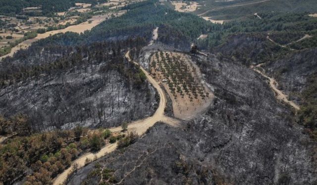 Çanakkale Yangınında İnanılmaz Olay: Sadece Orası Yanmadı