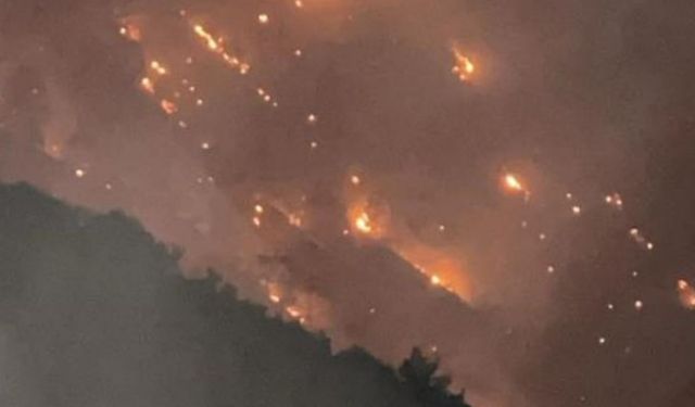 Denizli’de Yangın Havadan ve Karadan Müdahale Ediliyor: Yerleşim Alanlarına Yaklaşıyor