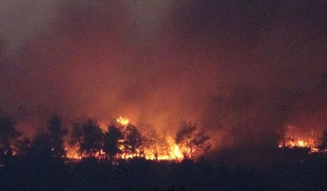 Çanakkale’de Orman Alarmı! Gece Boyu Mücadele Sonrası Kritik Açıklama