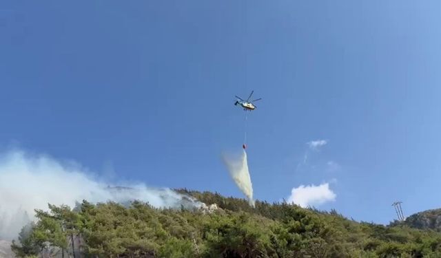 Orman Yangını Hatay’ı Sardı: Alevlerle Mücadele Sürüyor