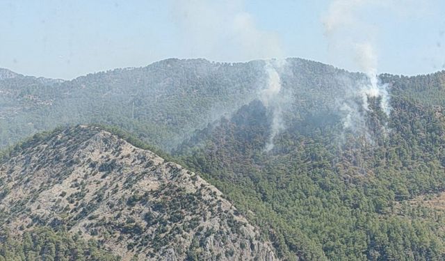 Anamur’da Orman Yangını: Havadan ve Karadan Müdahale Sürüyor