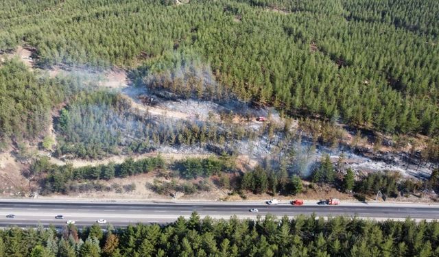 Seyir halindeki araç alev aldı: Rüzgarla büyüyen yangın ormana sıçradı