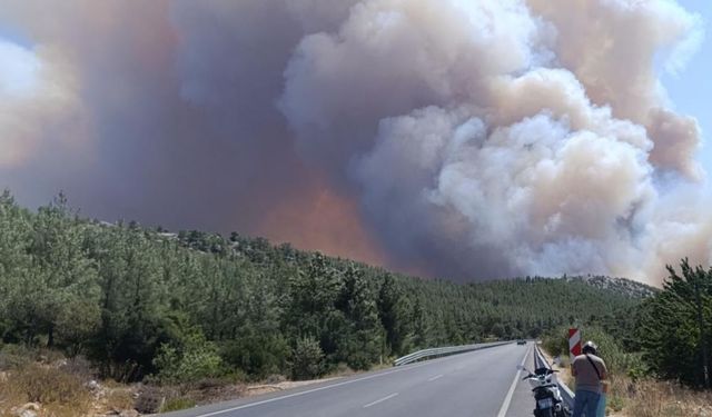 Silifke’de Orman Alarmı! Kırtıl Tepesi Alevlere Teslim